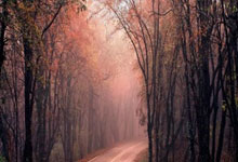 人人体育:遥遥领先!法甲积分榜:巴黎4连胜领先第二名马赛13分.